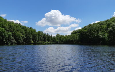 Nuovo Catalogo Didattico A.S. 2025/2026